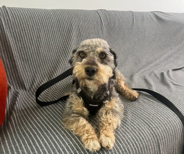 386f7a23-d097-41f3-9298-6017b76852da